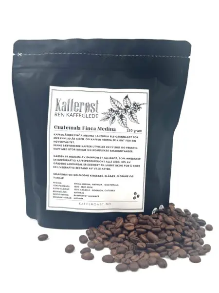 Guatemala Finca Medina (Microlot)