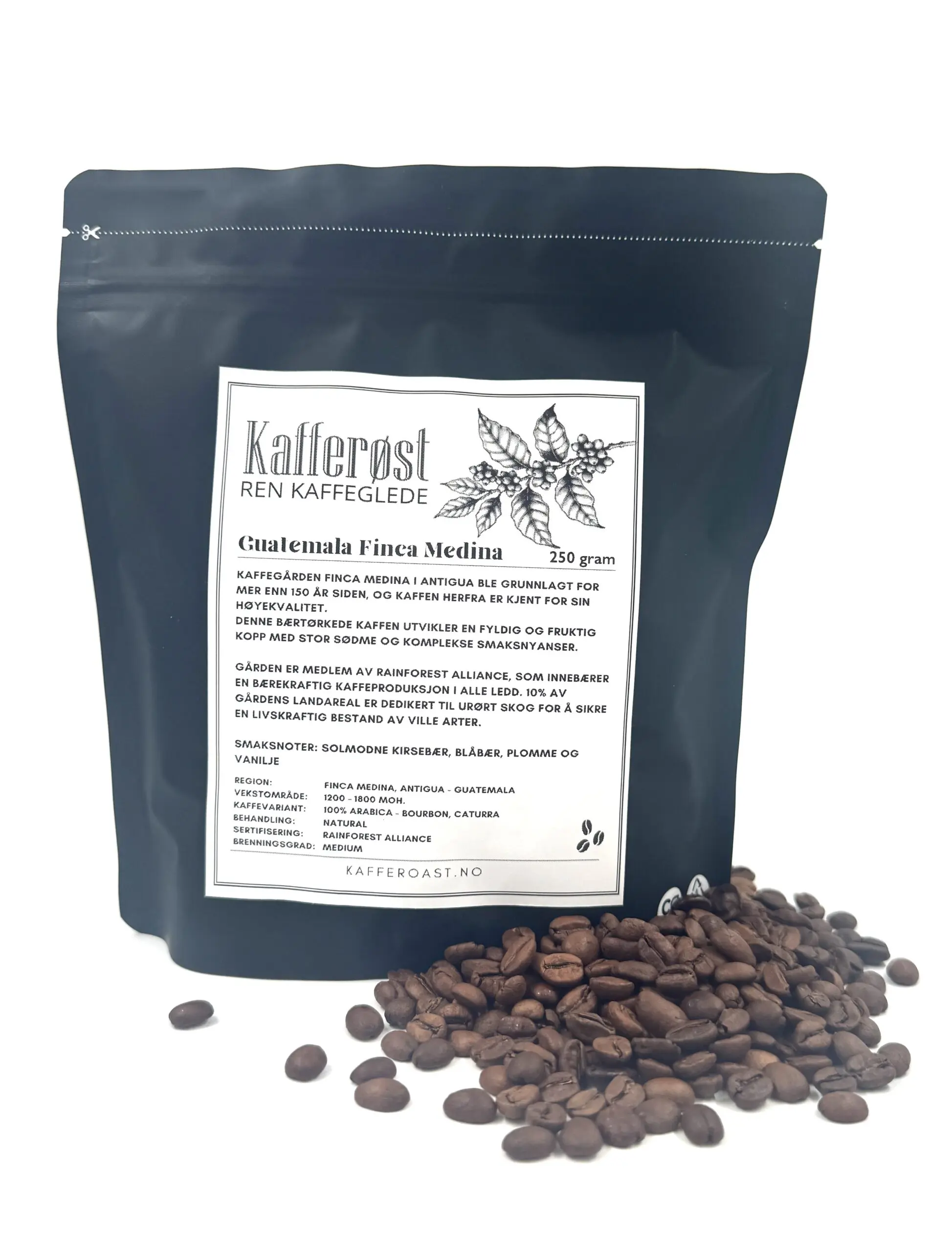 Guatemala Finca Medina (Microlot)