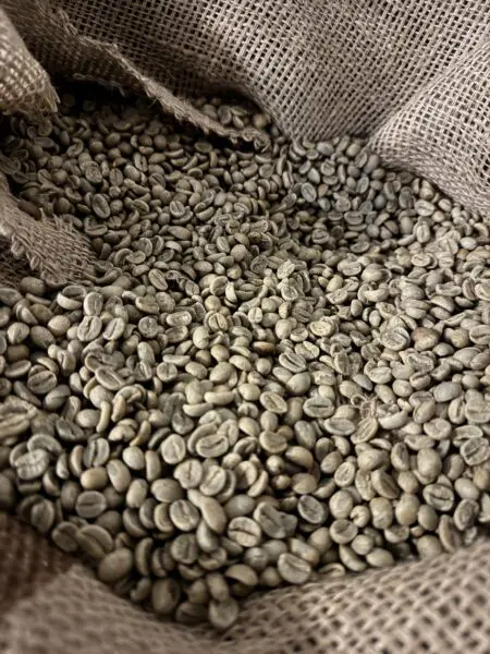 Råkaffe: El Salvador Finca Marina Cumbre (1kg)