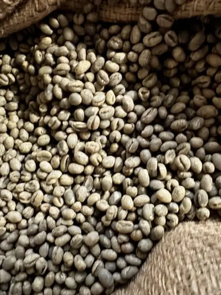 Råkaffe: Tanzania Nyasi Furaha Peaberry (1kg)