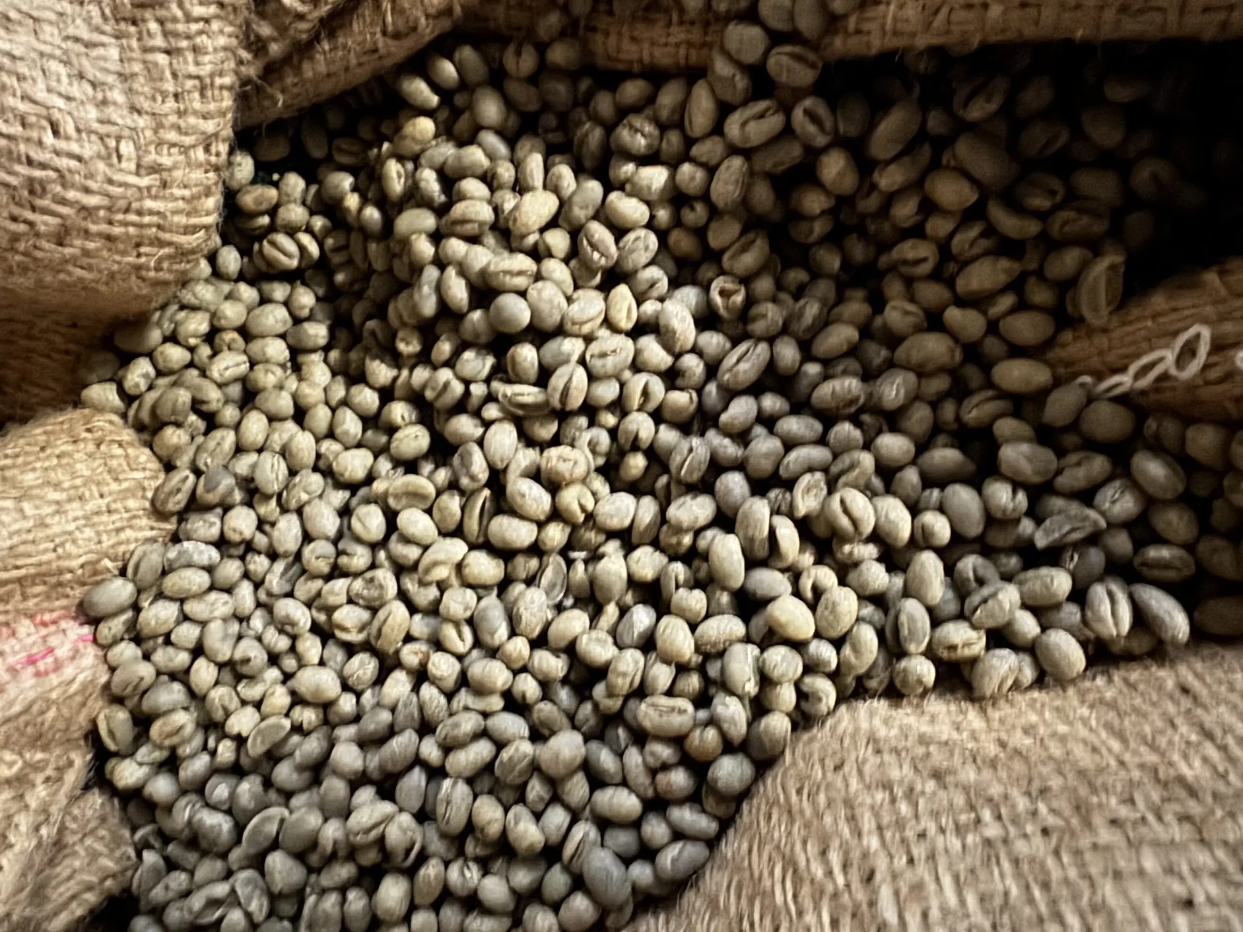 Råkaffe: Tanzania Nyasi Furaha Peaberry (1kg)