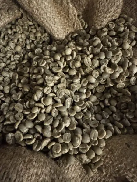 Råkaffe: Tanzania Nyota Kusini(1kg)