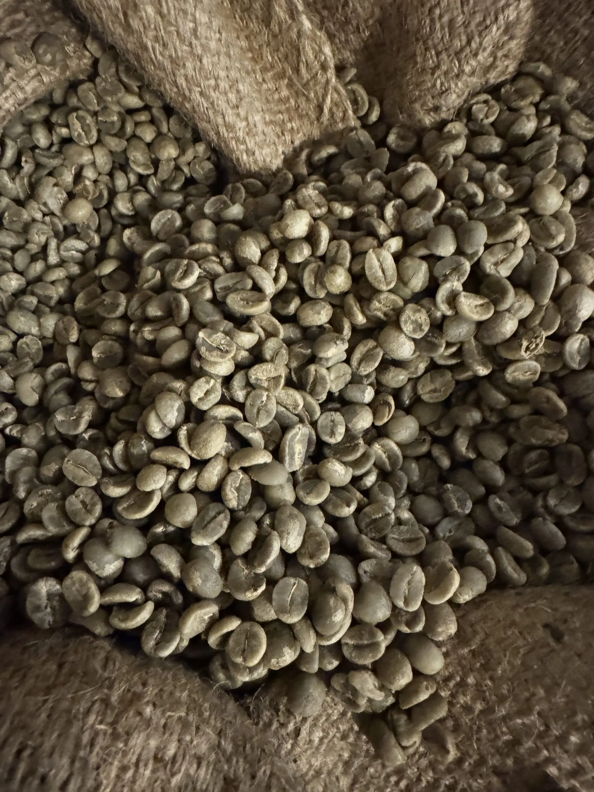 Råkaffe: Tanzania Nyota Kusini(1kg)