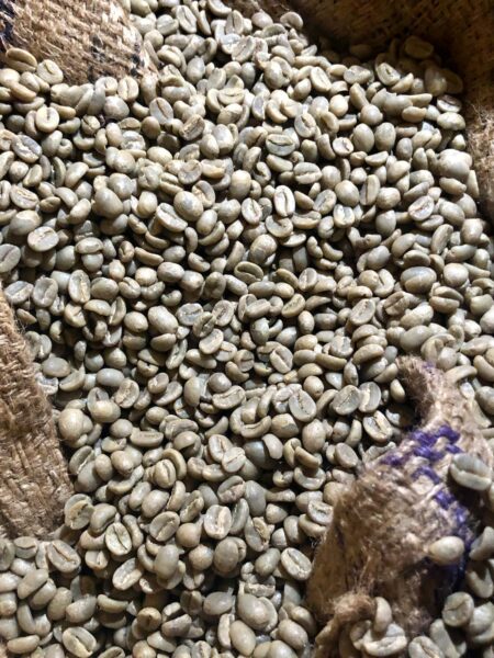Råkaffe: Kenya Kijani Kiboko (1kg)